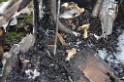 Wohnmobil ausgebrannt Koeln Porz Linder Mauspfad P143